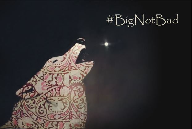 PRESS RELEASE: Coalition of Great Lakes Advocates Promote Positive Benefits of Wolves with “Big, Not Bad” Campaign