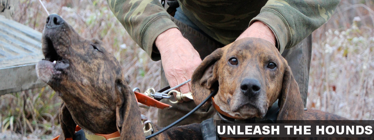 Unleash The Hounds