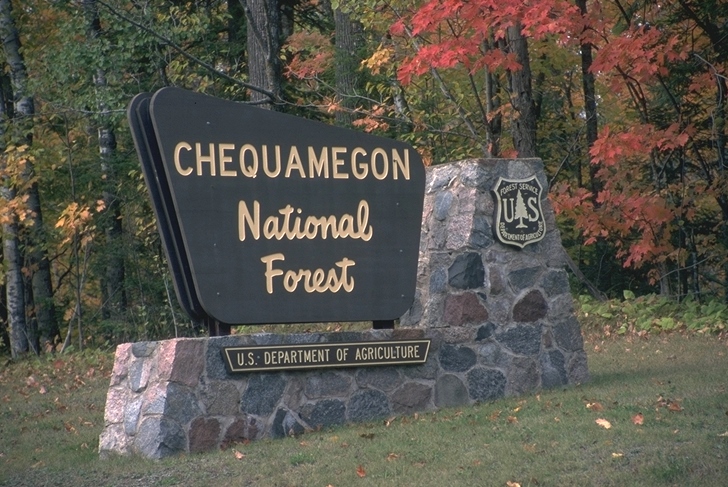 Environmental Groups: Keep Hounding Out of Wisconsin’s National Forests