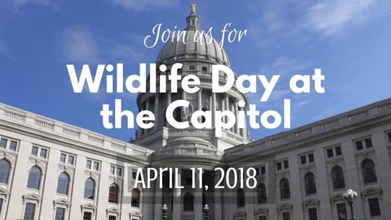 ANNOUNCEMENT: Wildlife Day 2018!