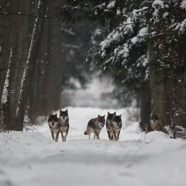 URGENT: PUBLIC HEARING FOR AB 712