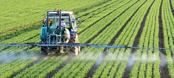 ACTION ALERT: Protect Endangered Species in the Farm Bill