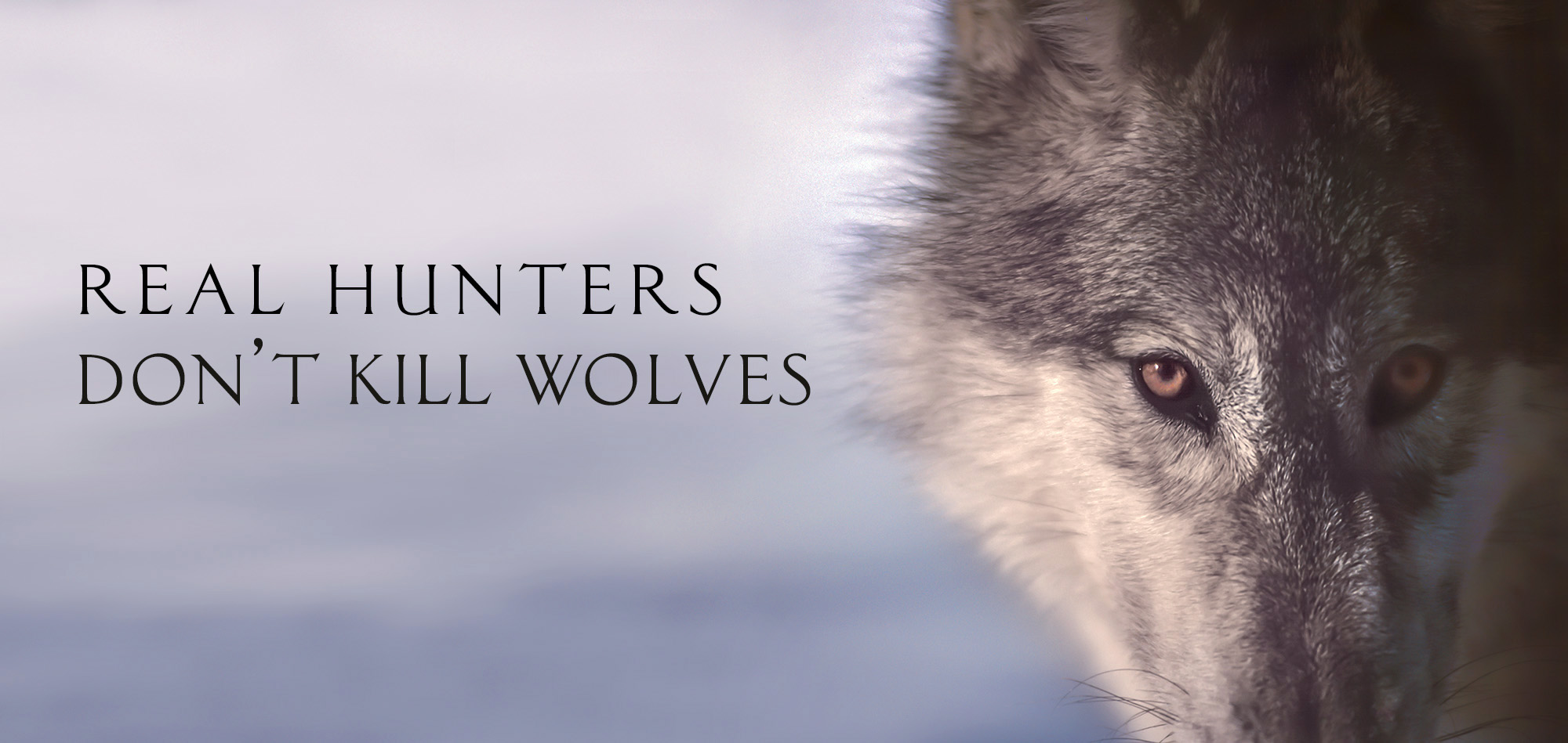 PRESS RELEASE: Ethical Hunters Coalition Erect Three Billboards Opposing Wolf Hunt