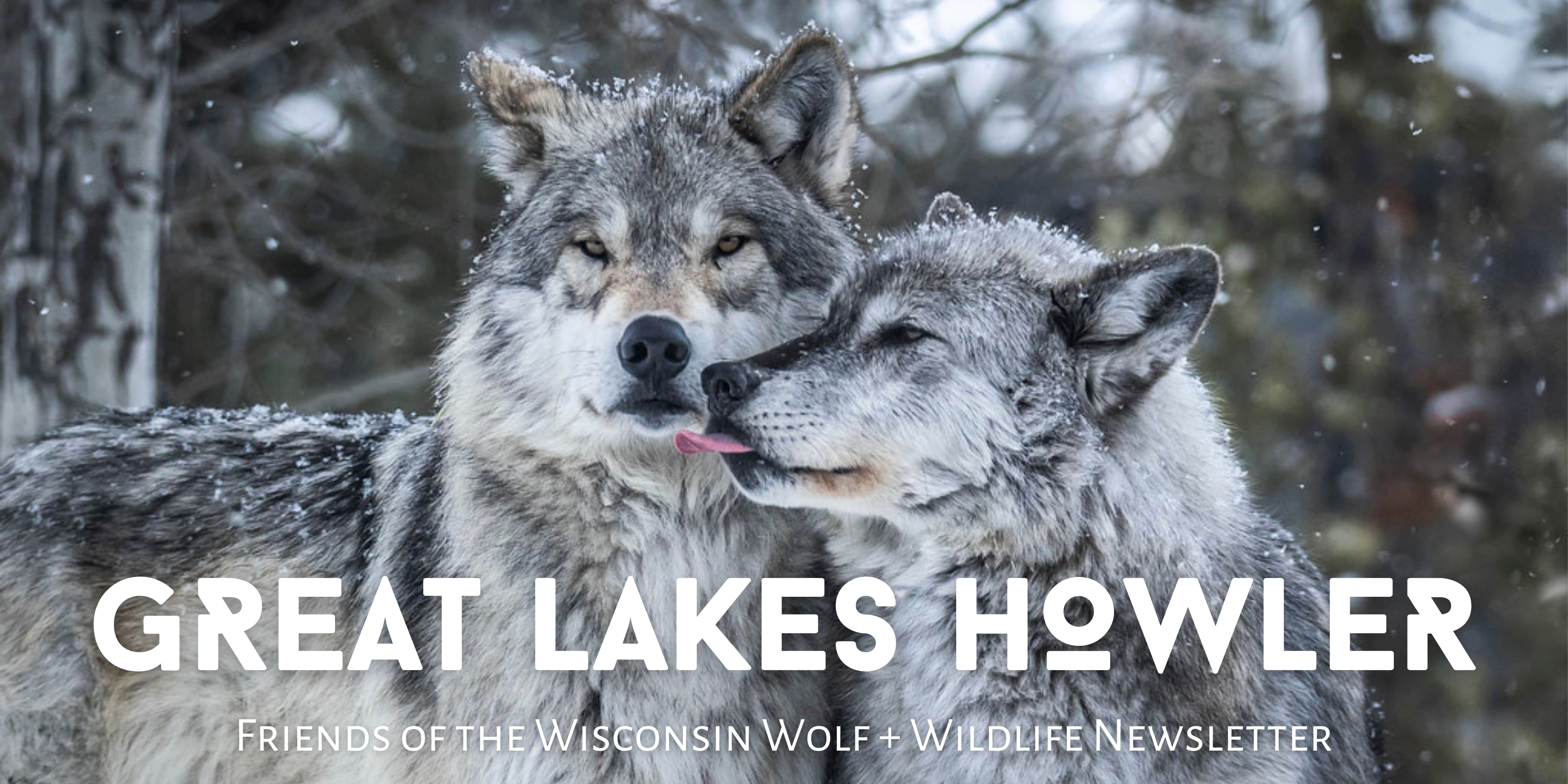 DECEMBER 2023 NEWSLETTER