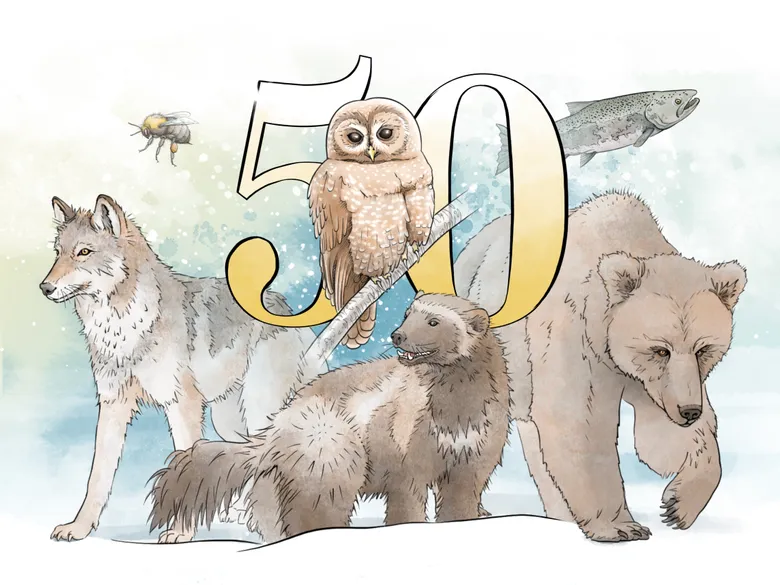 Letter | Renew Commitment to Endangered Species Act