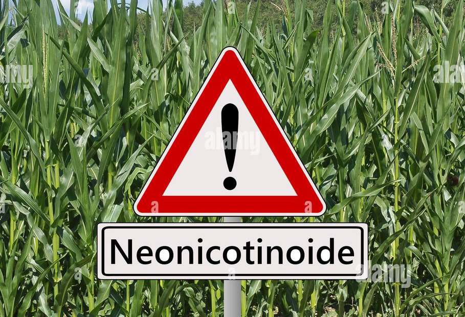Press Release: Great Lakes Wildlife Alliance Supports Petition to Regulate Neonicotinoid Insecticides