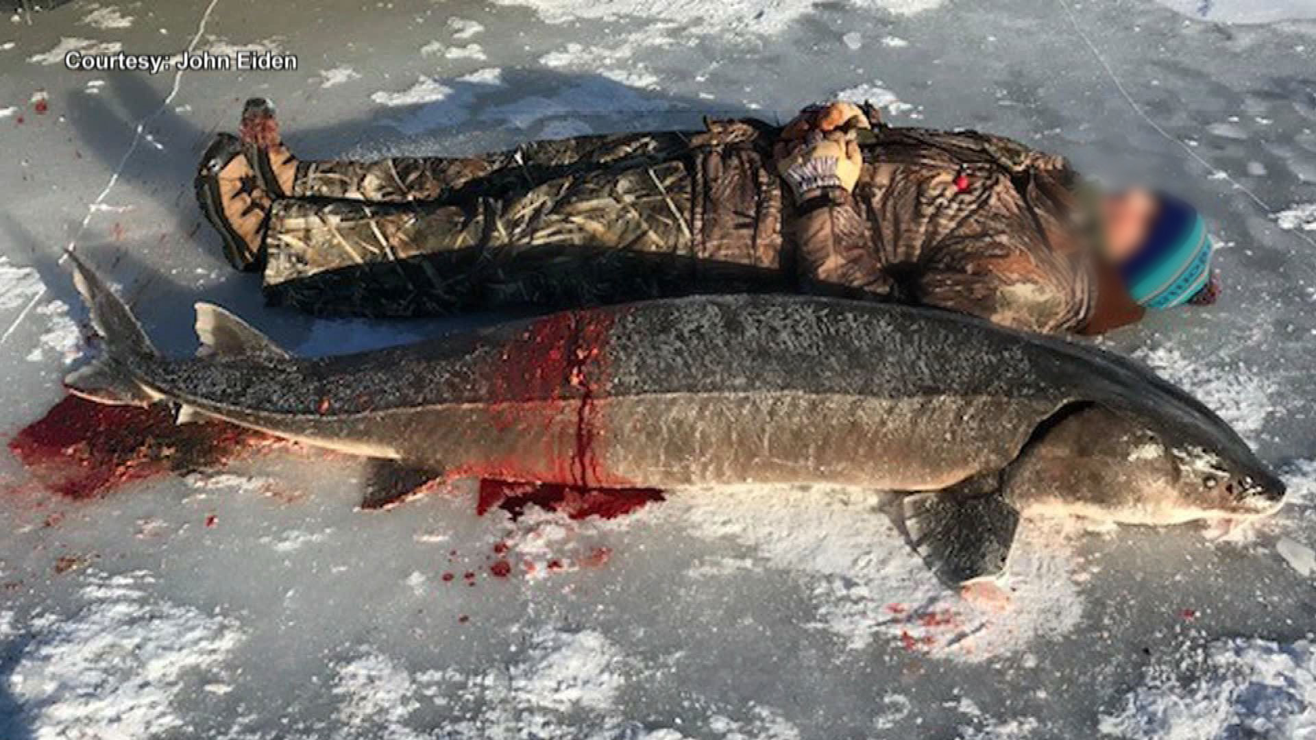 Letter to Secretary Haaland: Protect Wisconsin Lake Sturgeon