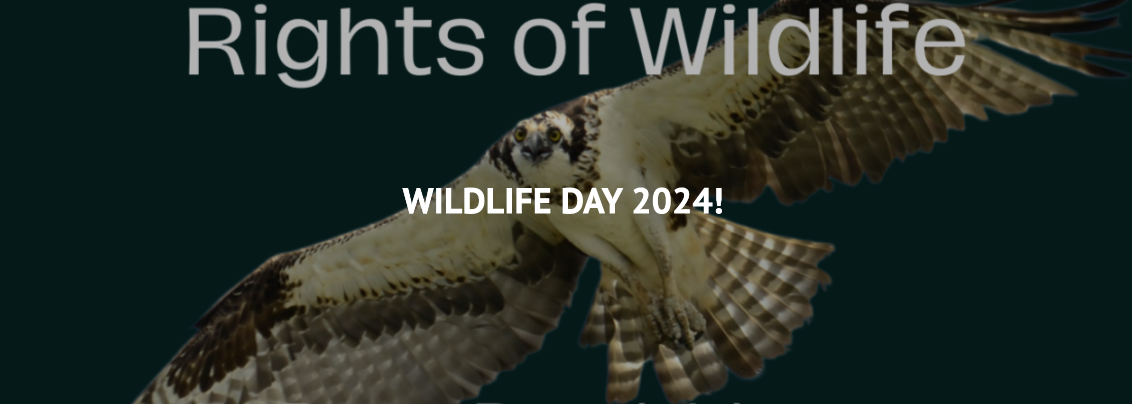 Wildlife Day 2024!
