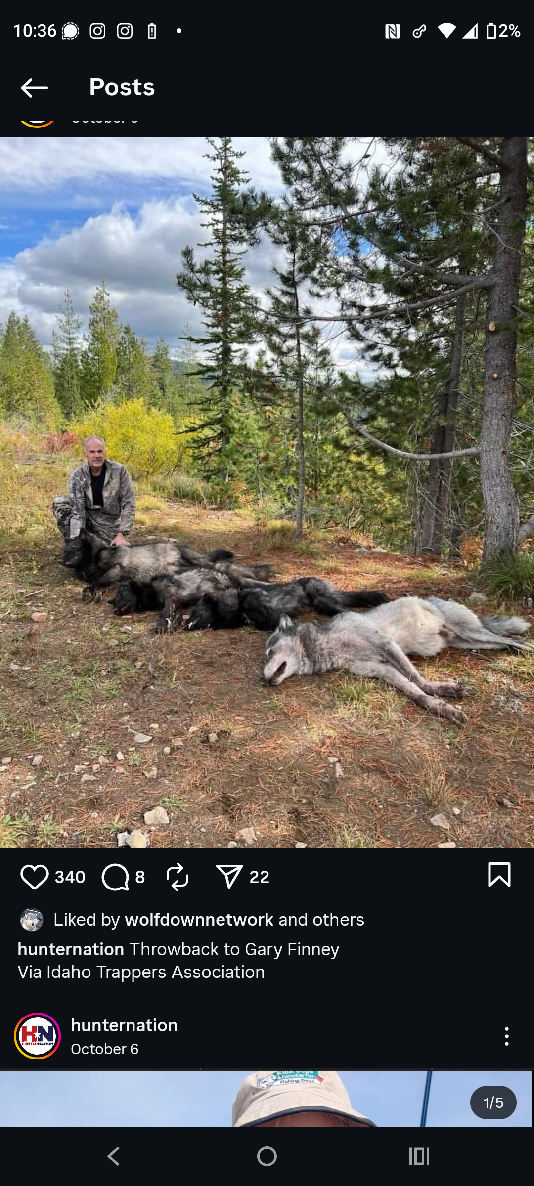 Wolves, Rules, and the Fight for Survival: Why Your Support Matters