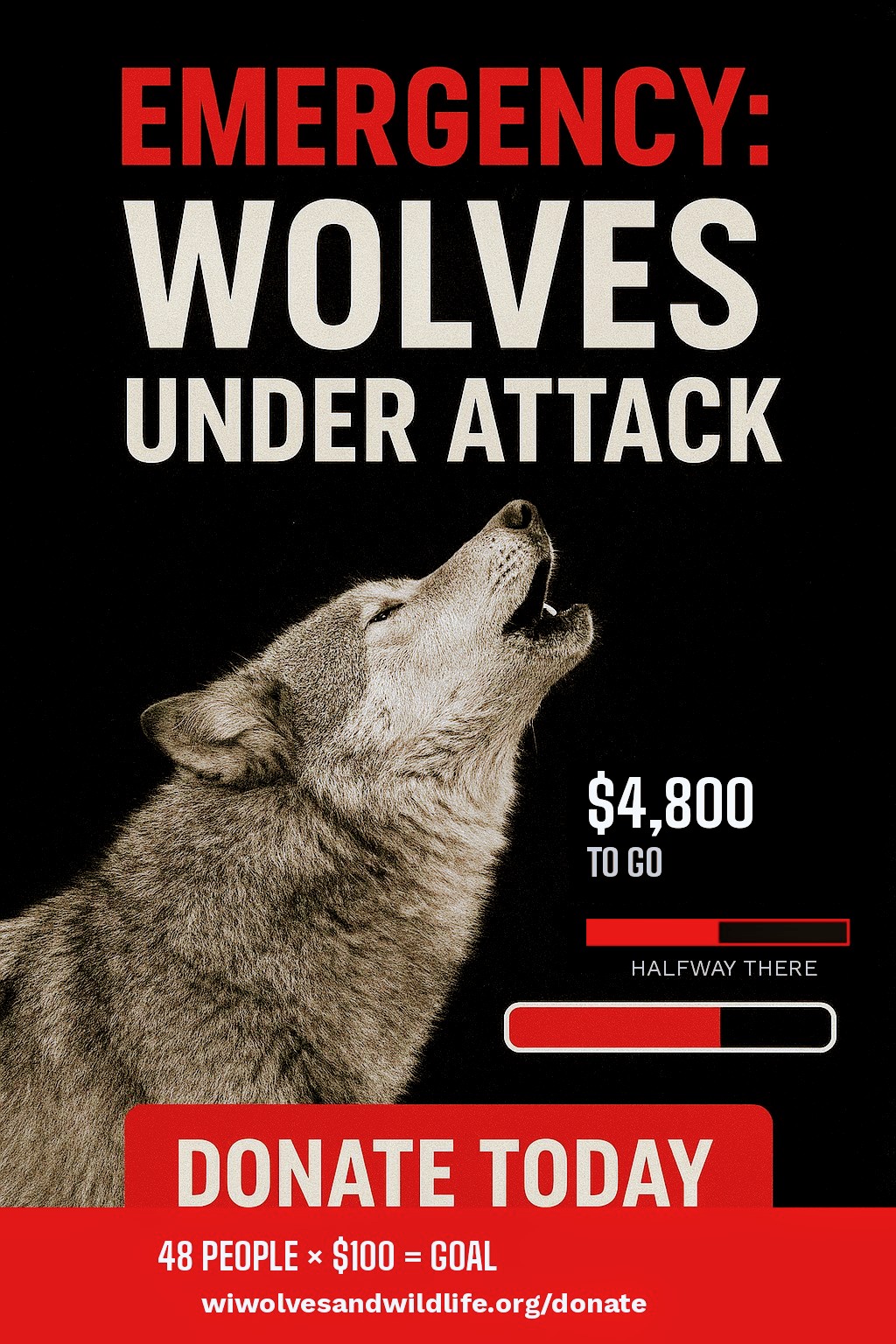 You saw what we found last week. ACT NOW for what’s next.