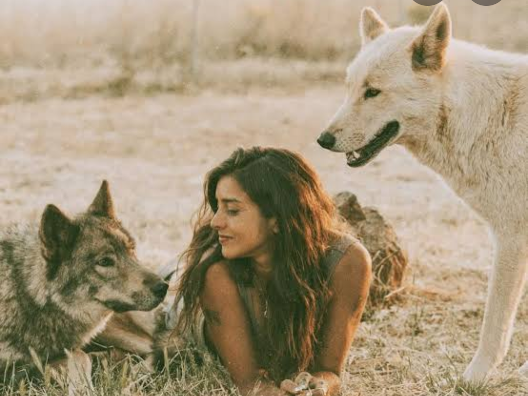 Tonight Women for Wolves and real wolves may join!