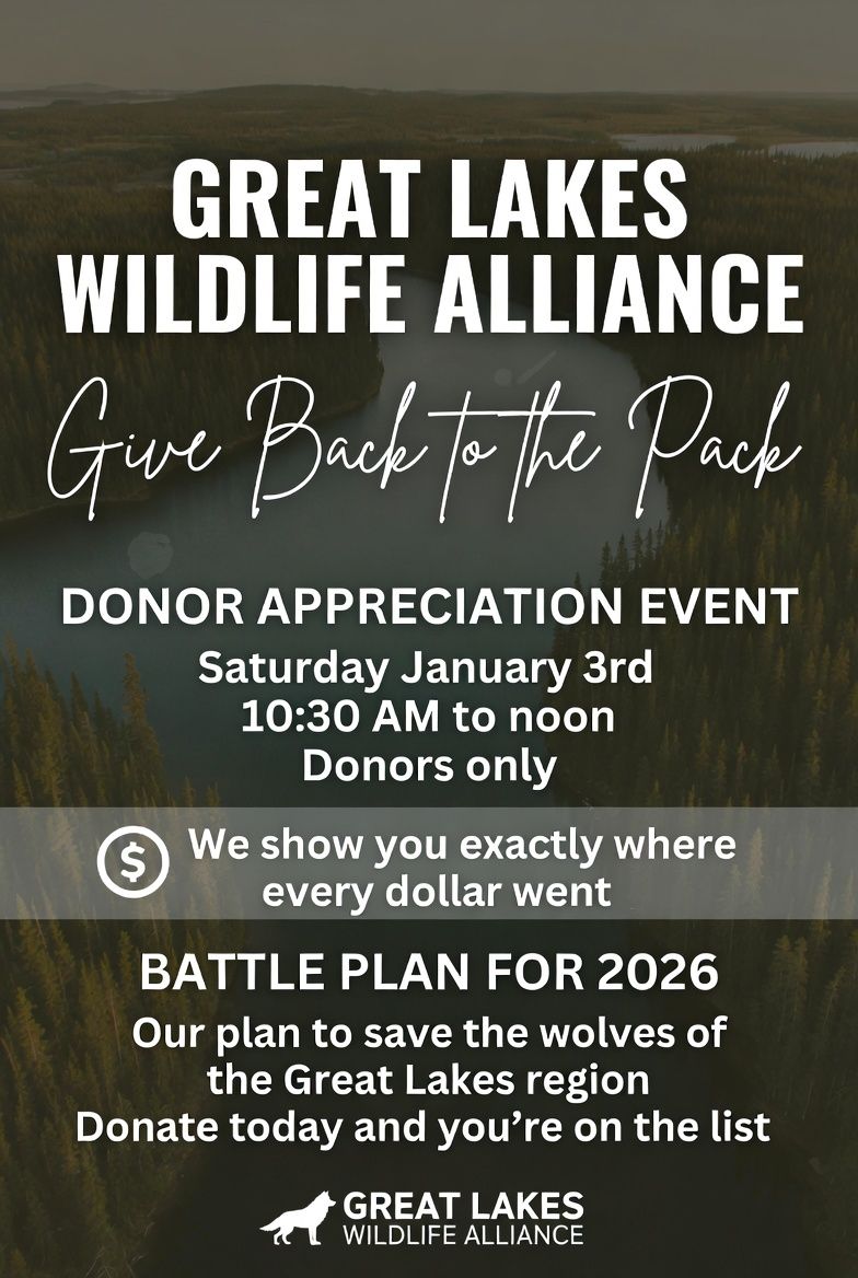 Join Our Donor Appreciation Party Tomorrow